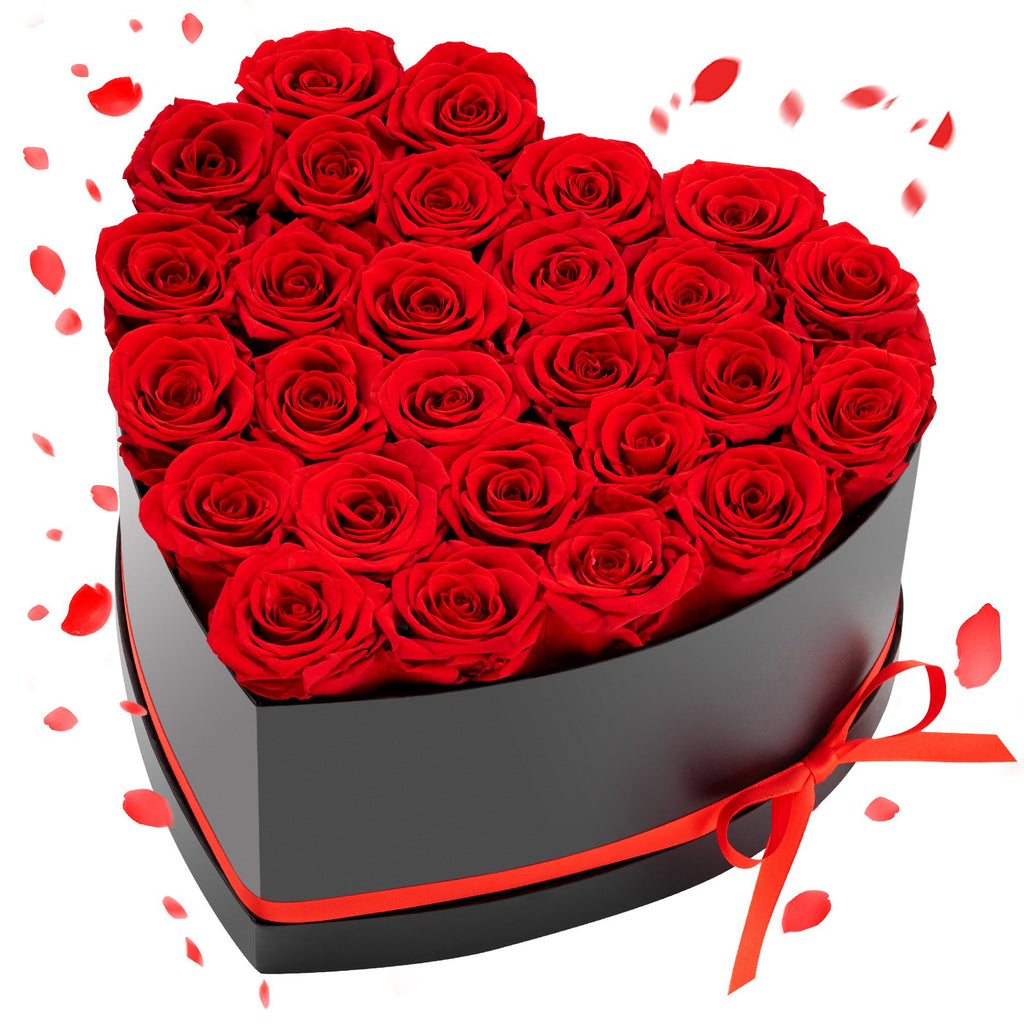 52d70c37-9fb4-4f07-aa6a-1d2847c16ae2