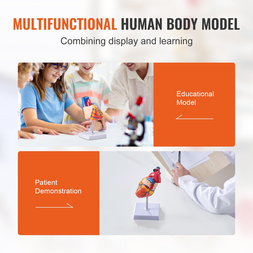 43ea747e-c645-4687-94b1-a8b1effab468