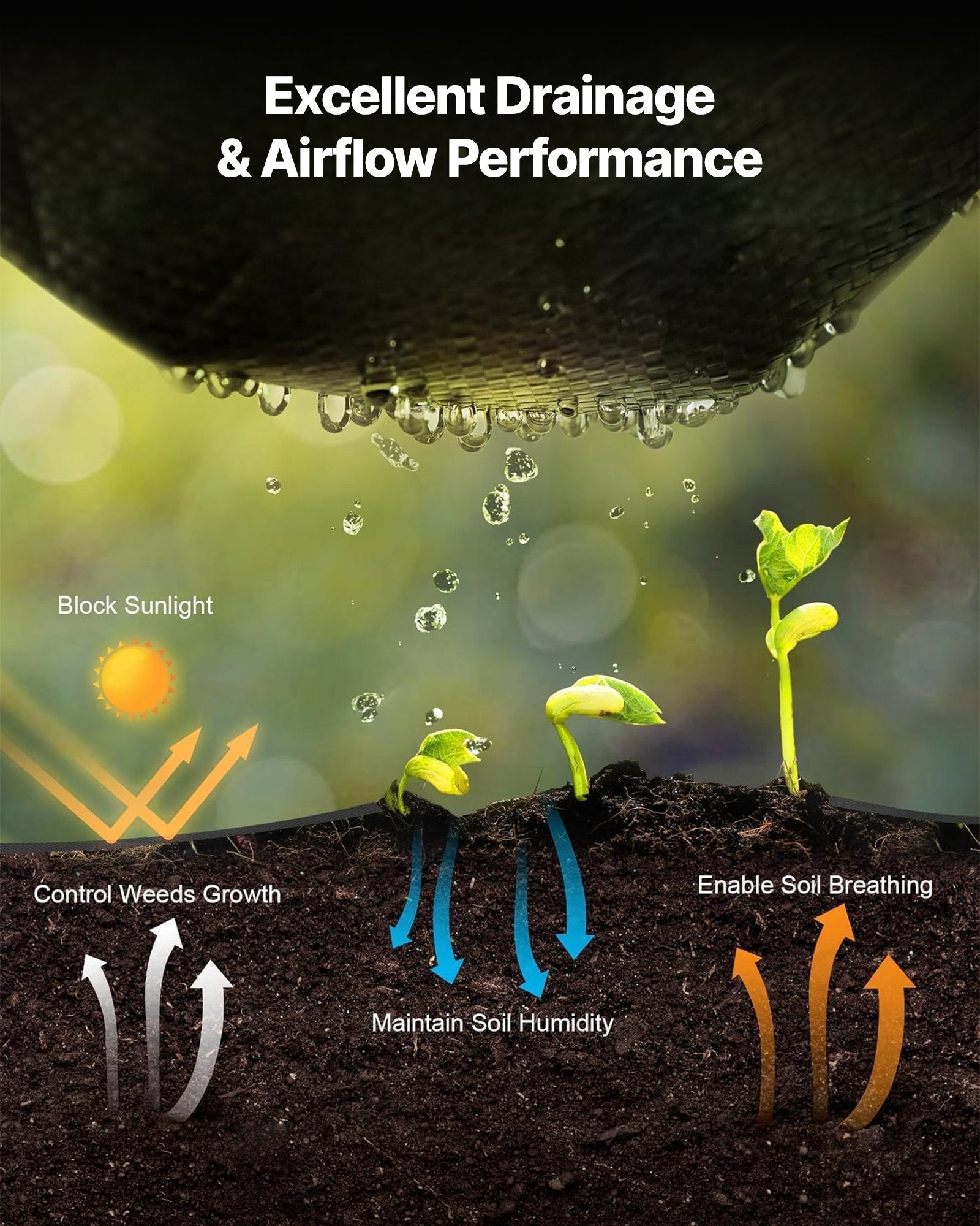 a2690bb5-3df7-4d87-bcb6-80c0c0ff2ba6
