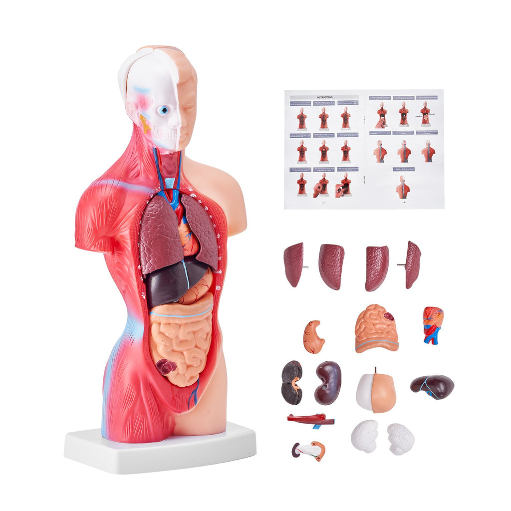 e956d41c-c9e8-45e3-b4c3-cda64a9c9e2f