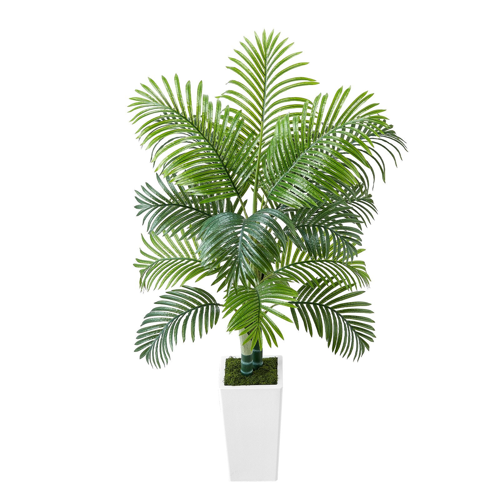 ec29ec5c-4570-4860-ba45-62f3cd10ad07