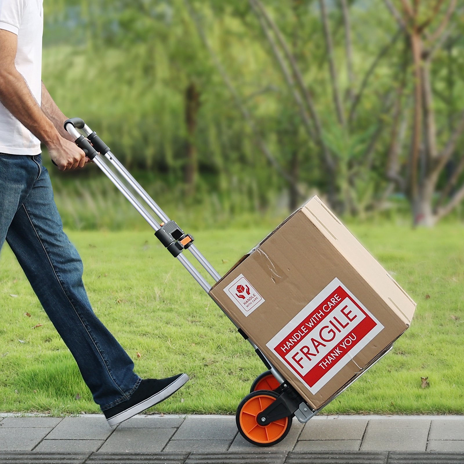 ccd3769c-1054-4cc5-b753-392f48c6f425