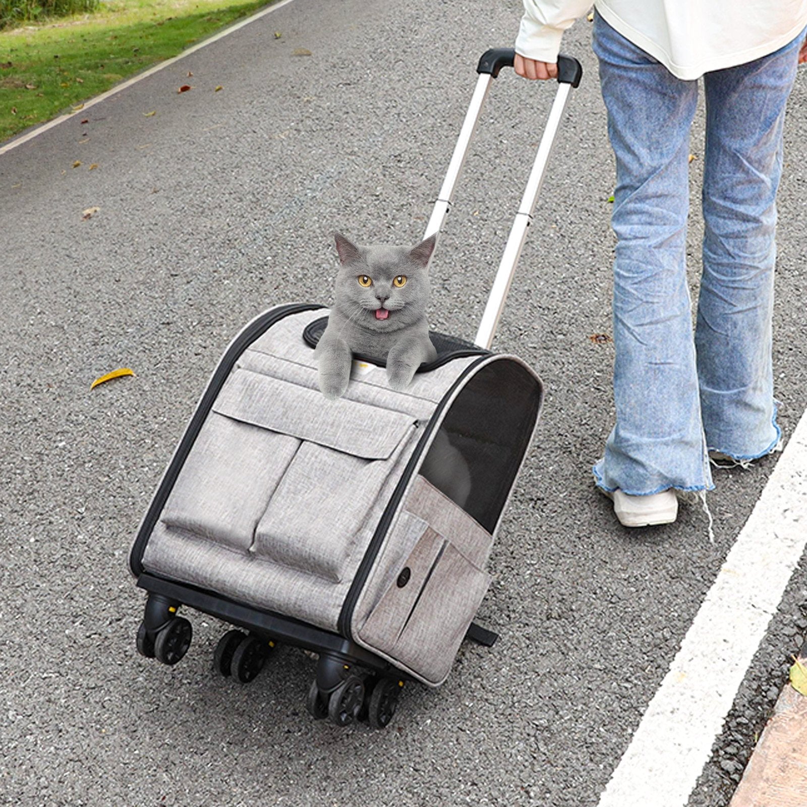 f156f950-453c-4414-98d1-f9bcbe72e831