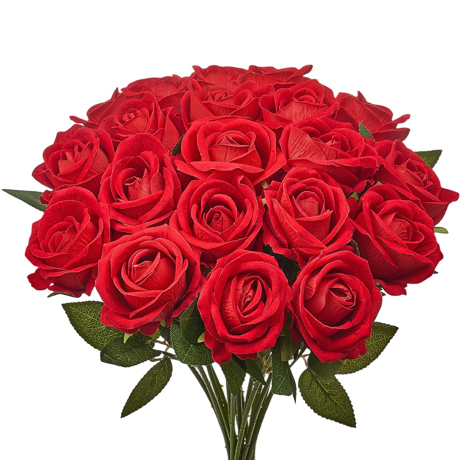 f36e68f3-be2f-476a-9ae0-6fe16e92d453