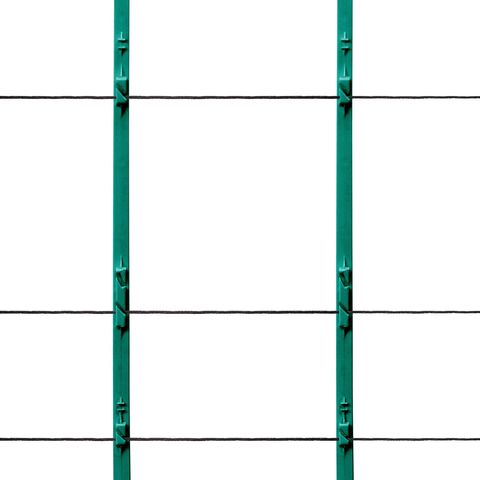 5c34d9d4-804f-45c4-970f-8855023bfab2