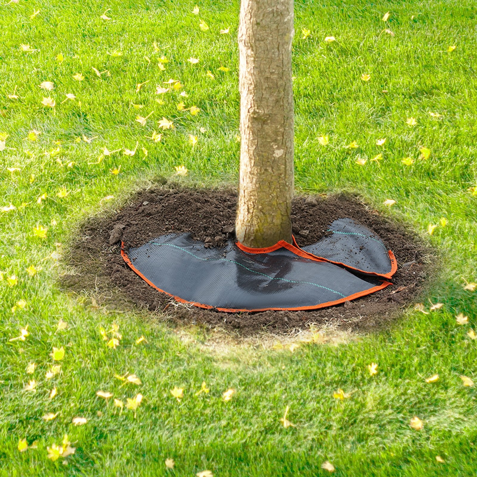 53017312-3d05-4982-8844-21b68fd917cf