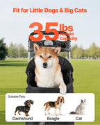 8d97b83d-0227-4c3e-81b6-ab0136937434
