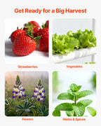 a6081d28-40ba-4c9d-a029-00a429667e34