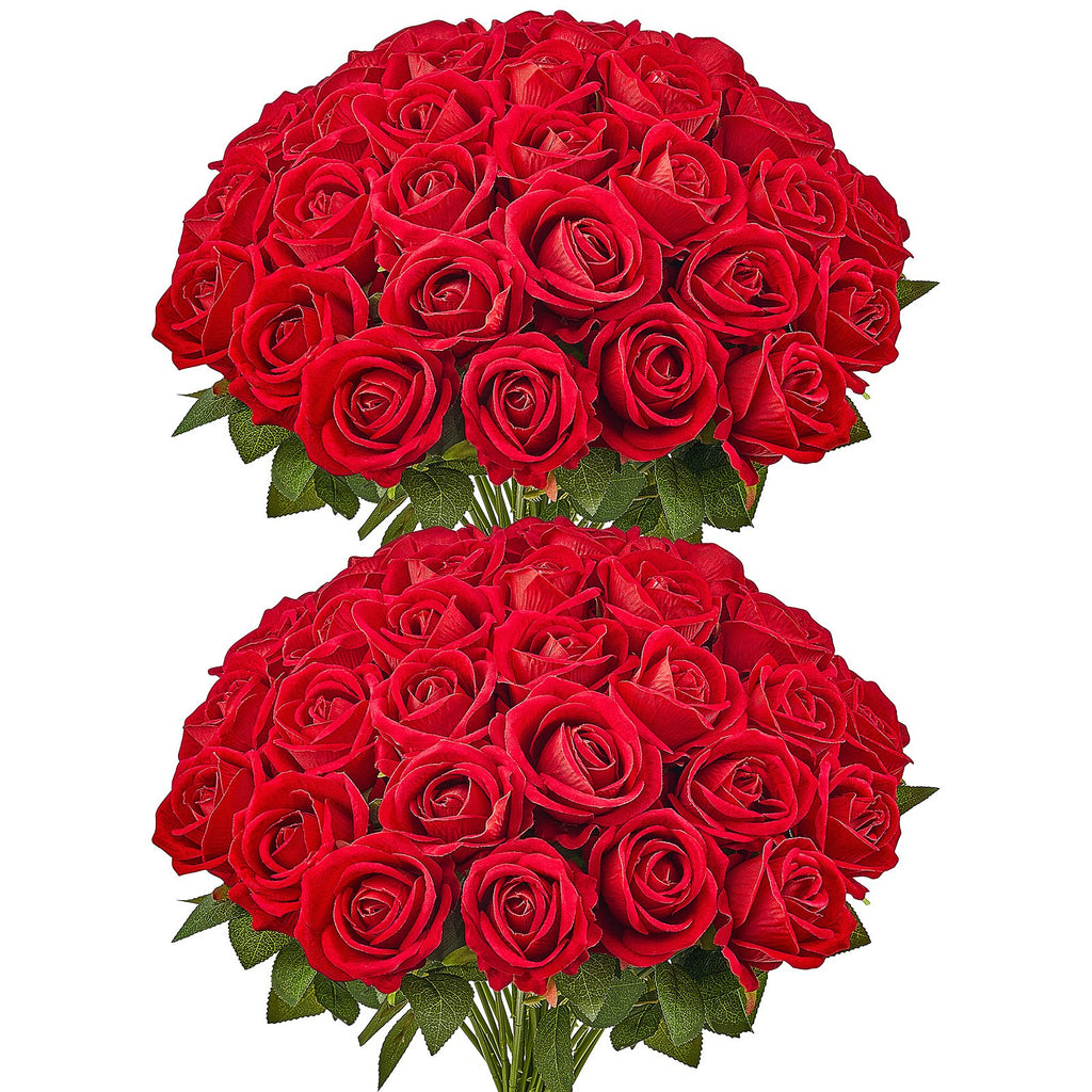 6cefd25b-4de0-4916-810f-fd40039ca757