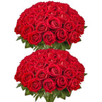 6cefd25b-4de0-4916-810f-fd40039ca757