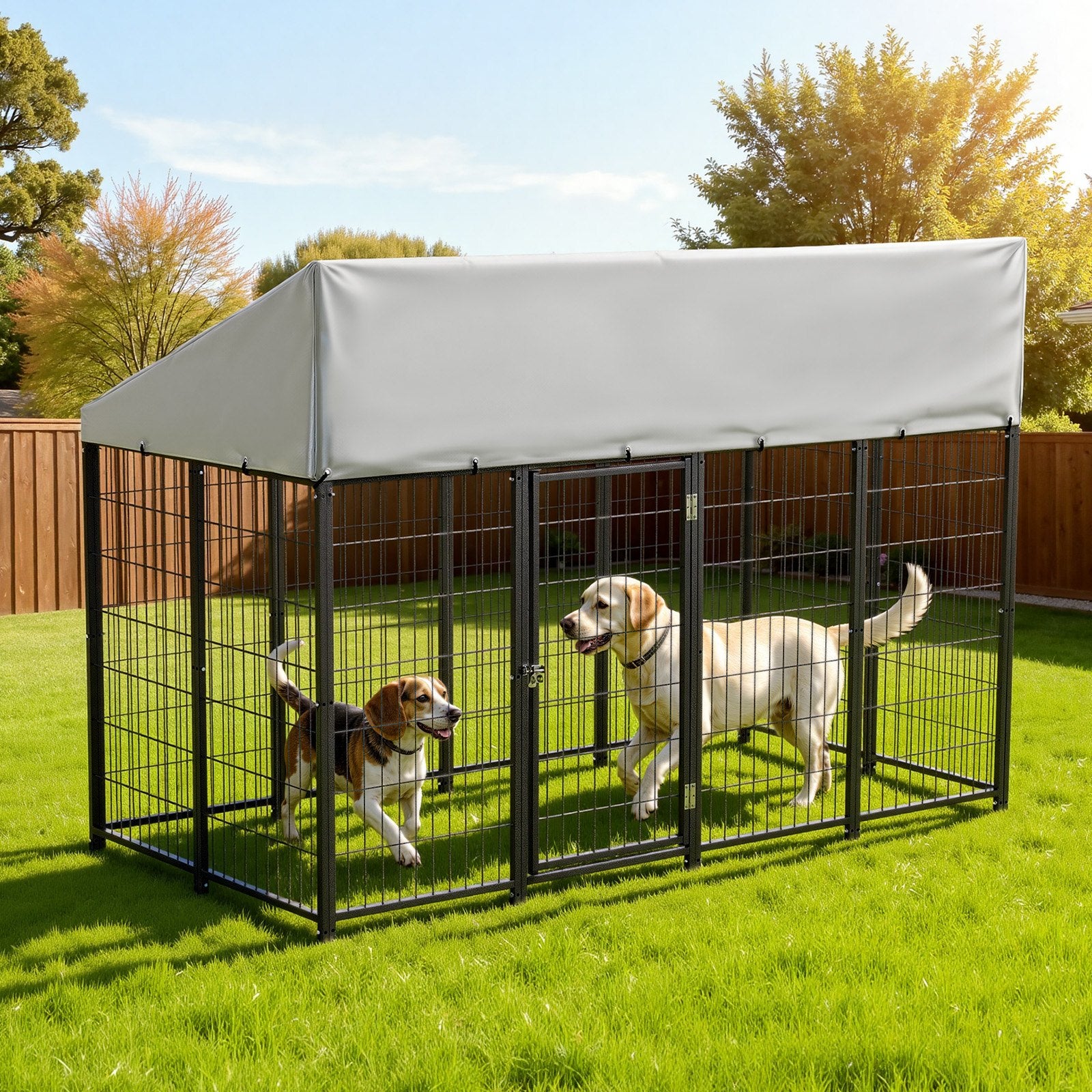 a48abf48-1c3b-490d-88e6-bdd201f33210
