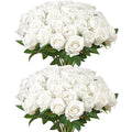 d74c16c0-331e-4faf-bc03-03ea9f5dbc27